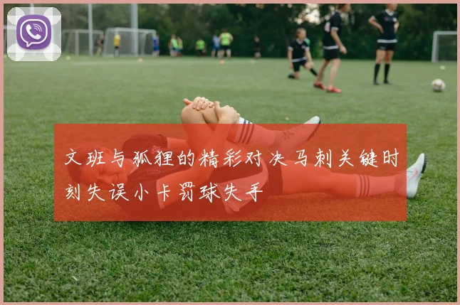 文班与狐狸的精彩对决马刺关键时刻失误小卡罚球失手