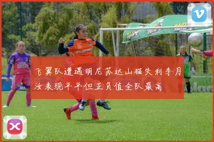 飞翼队遭遇明尼苏达山猫失利李月汝表现平平但正负值全队最高